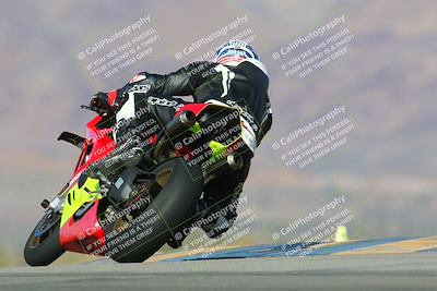 media/Jan-13-2024-SoCal Trackdays (Sat) [[9c032fe5aa]]/Turn 9 Backside (110pm)/